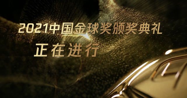 埃戈库西