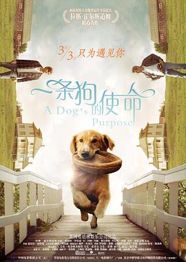 国产人成亚洲第一网站在线播放