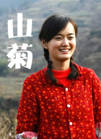 国产不卡在线