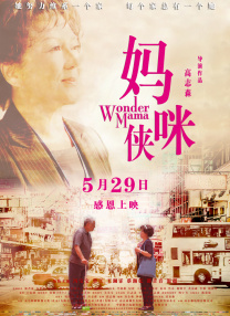 国产亚洲精品aaa大片
