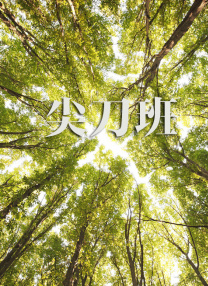 日韩在线专区
