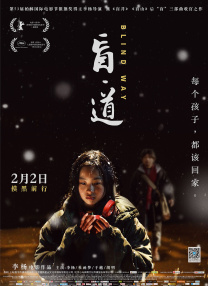 成人精品久久