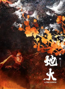 加勒比高清