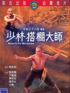 成年人视频在线播放