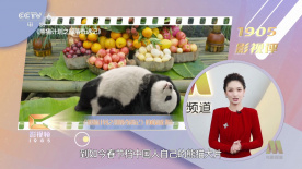 国产白浆在线免费观看
